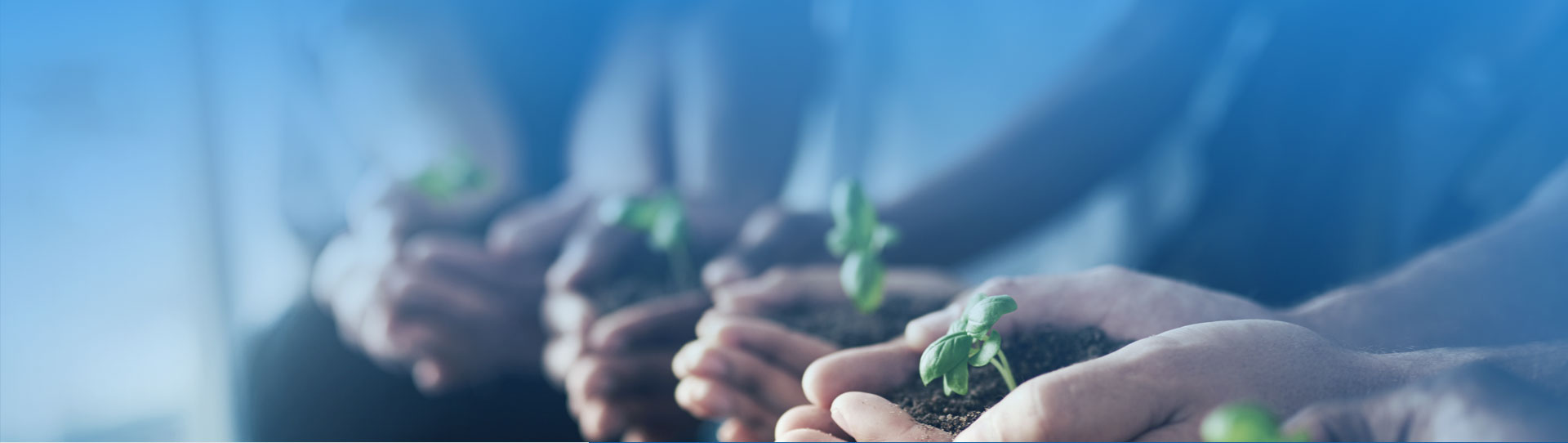 中国·tyc86太阳集团(Macau)股份有限公司-Officialwebsite